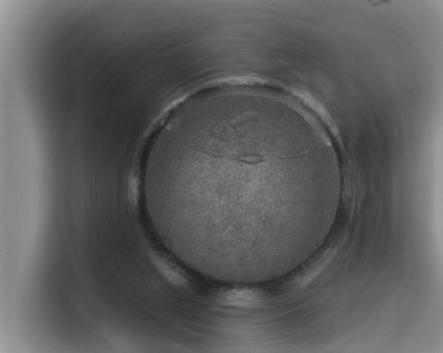 X0000115550063200911061541