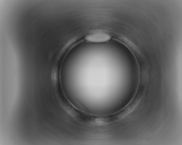 X0000115550064200911061541