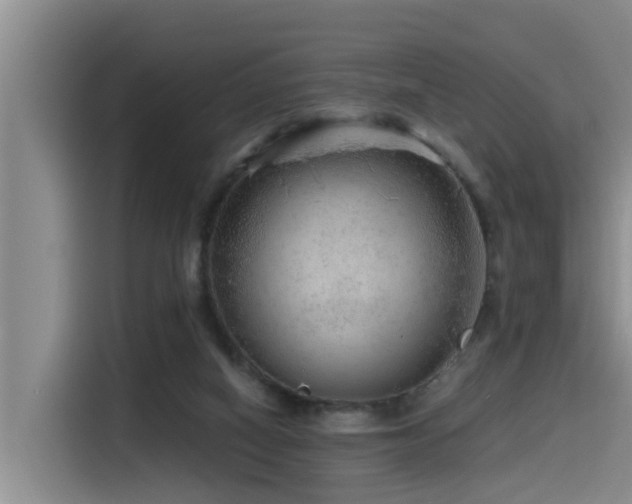 X0000115550066200911061541
