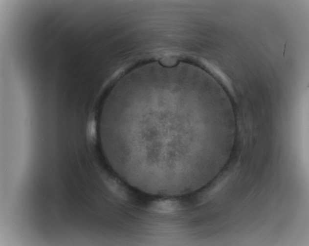 X0000115550067200911061541