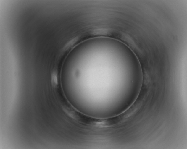 X0000115550068200911061541