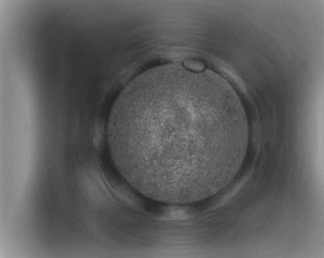 X0000115550073200911061541