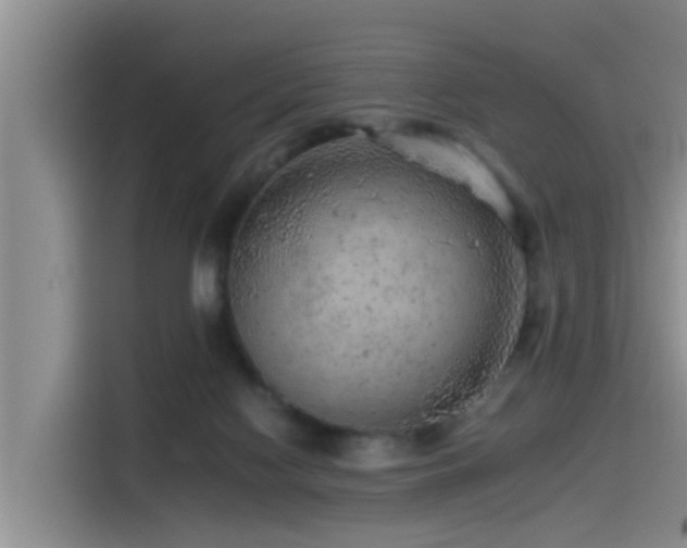 X0000115550074200911061541