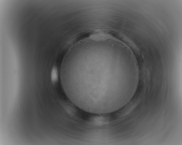 X0000115550075200911061541