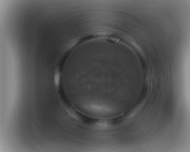 X0000115550076200911061541
