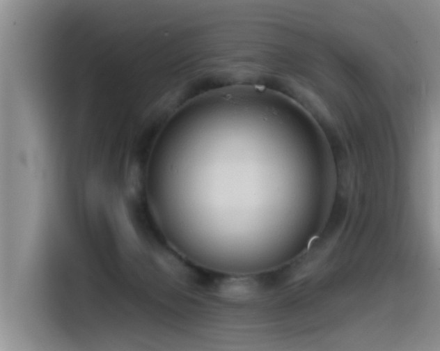 X0000115550077200911061541