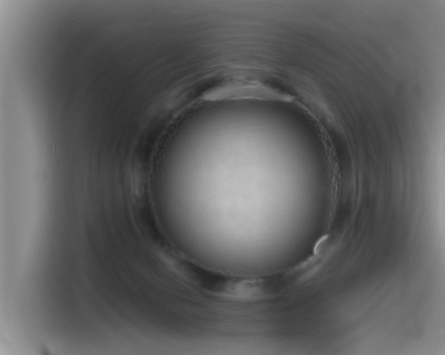 X0000115550078200911061541