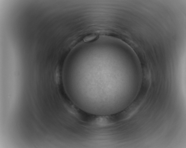 X0000115550080200911061541