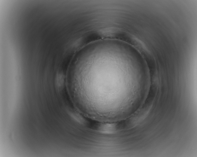 X0000115550081200911061541