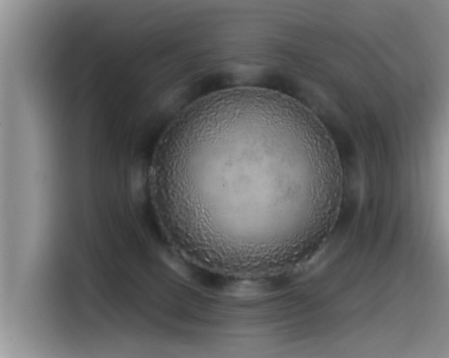 X0000115550082200911061541
