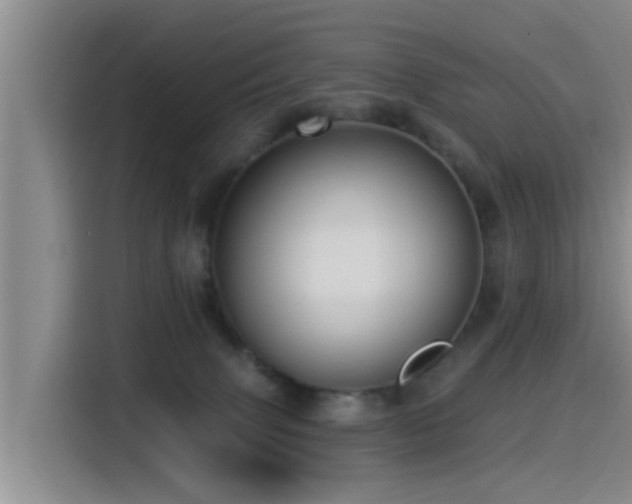 X0000115550083200911061541