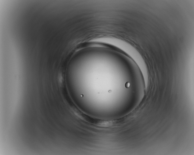 X0000115550084200911061541