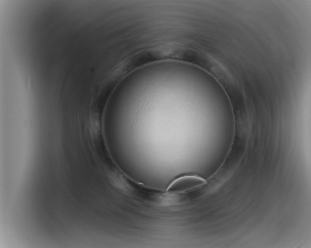 X0000115550085200911061541