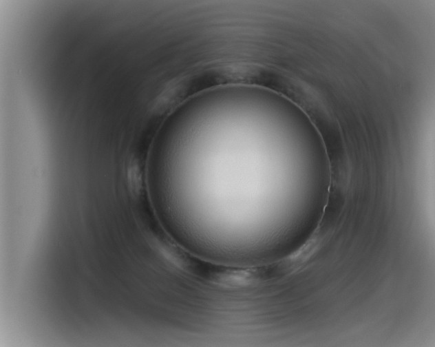 X0000115550086200911061541
