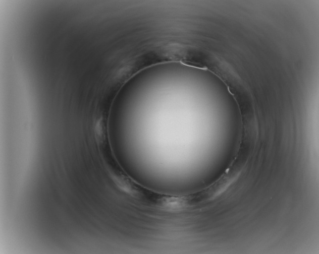 X0000115550088200911061542