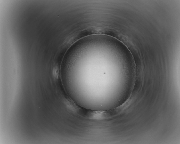 X0000115550090200911061542