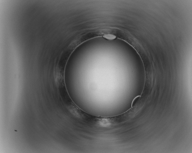 X0000115550091200911061542