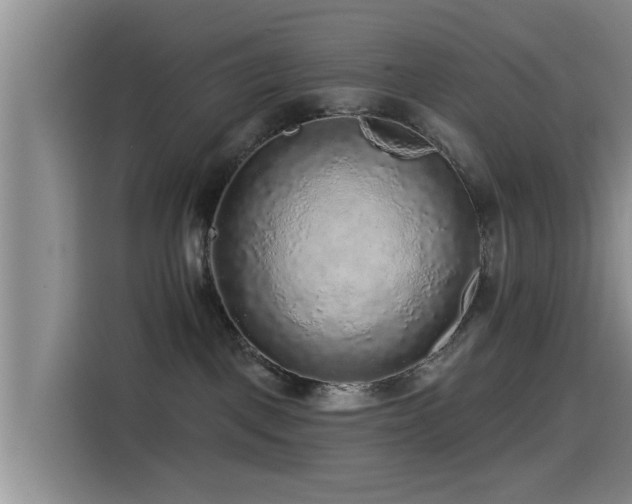 X0000115550093200911061542