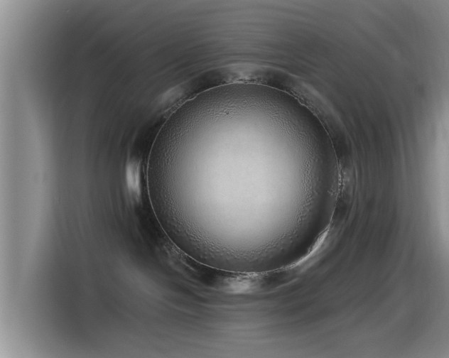 X0000115550094200911061542