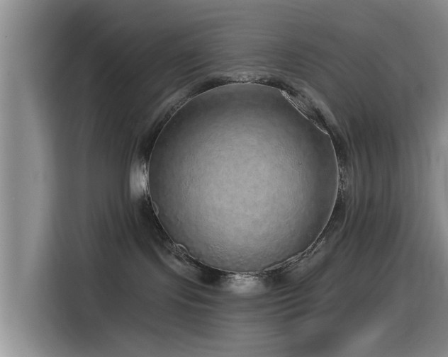 X0000115550095200911061542
