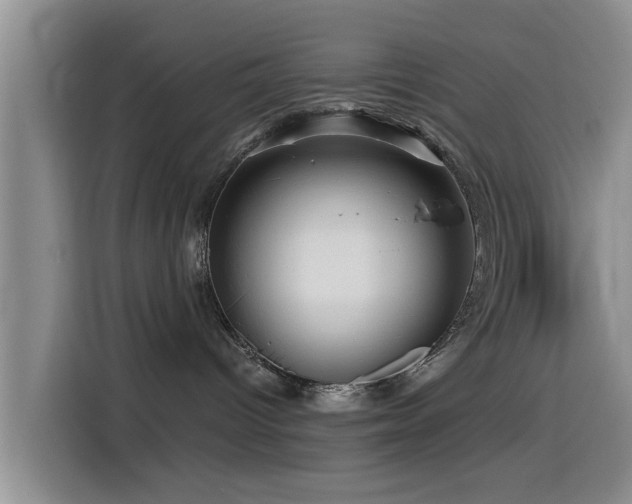 X0000115550096200911061542