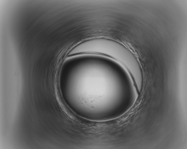 X0000115550097200911061541