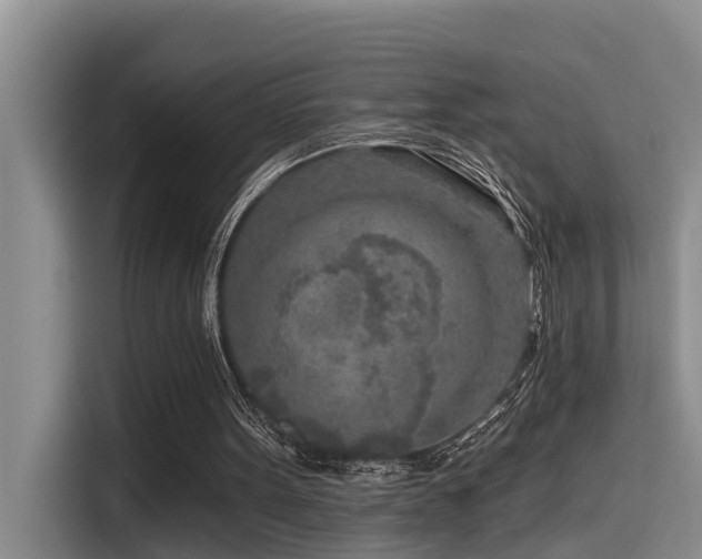 X0000115550099200911061541