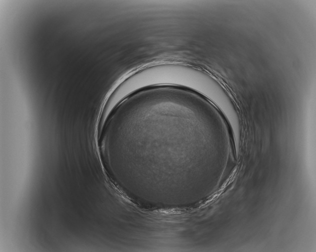 X0000115550100200911061541