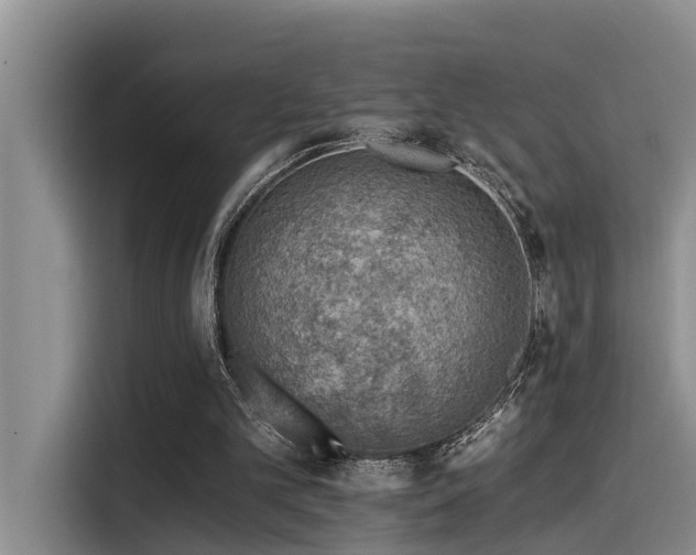 X0000115550101200911061541
