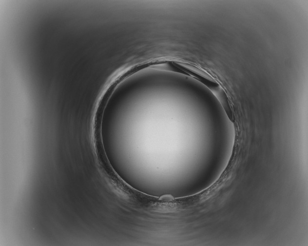 X0000115550104200911061541
