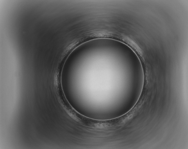 X0000115550105200911061541
