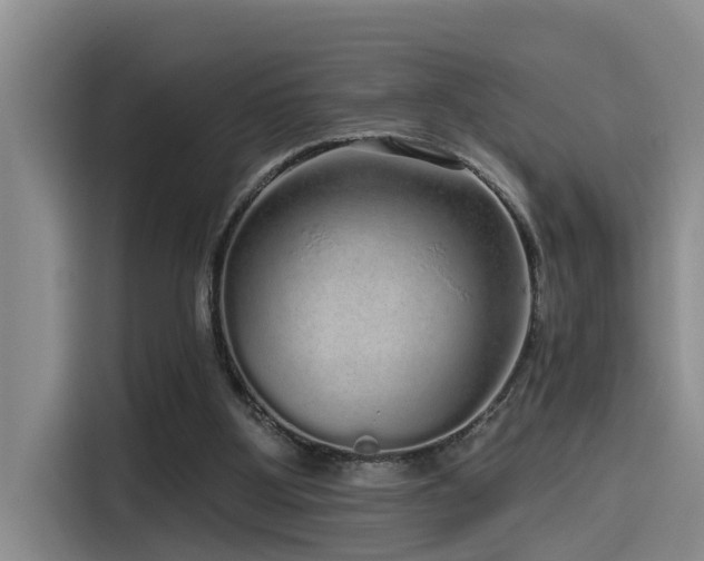 X0000115550107200911061541