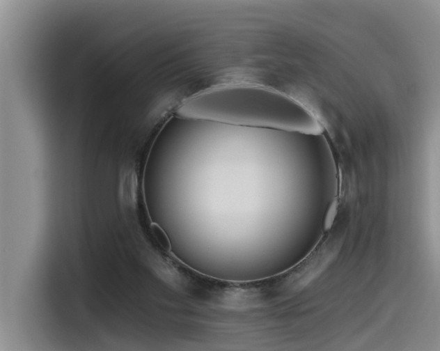 X0000115550109200911061541