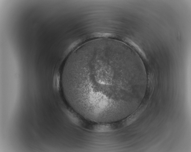 X0000115550110200911061541