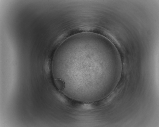 X0000115550114200911061541