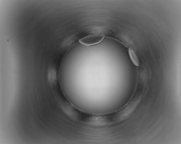 X0000115550117200911061541