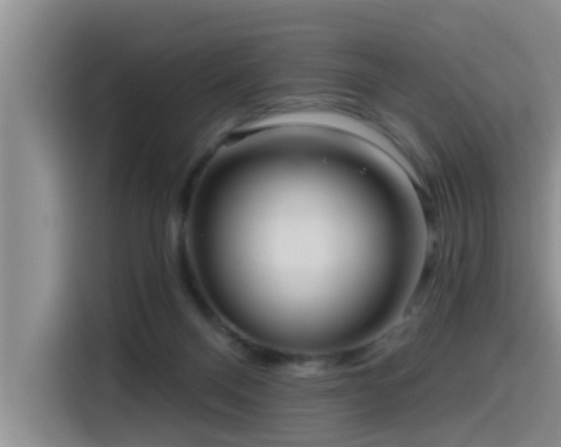 X0000115550120200911061541