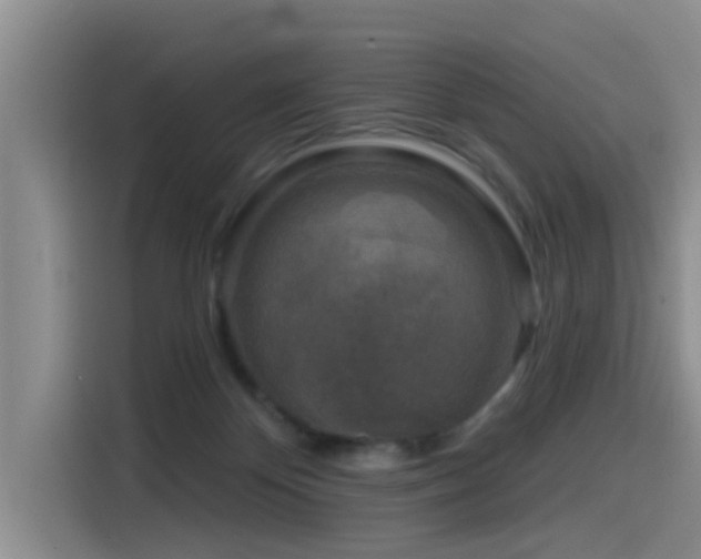X0000115550124200911061541