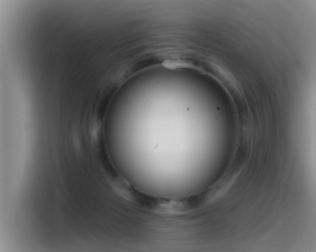 X0000115550125200911061541