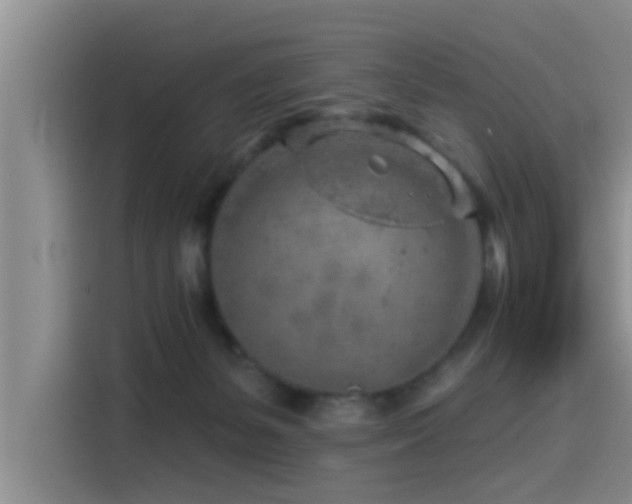 X0000115550127200911061541