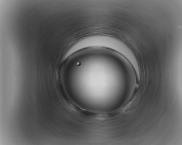 X0000115550128200911061541