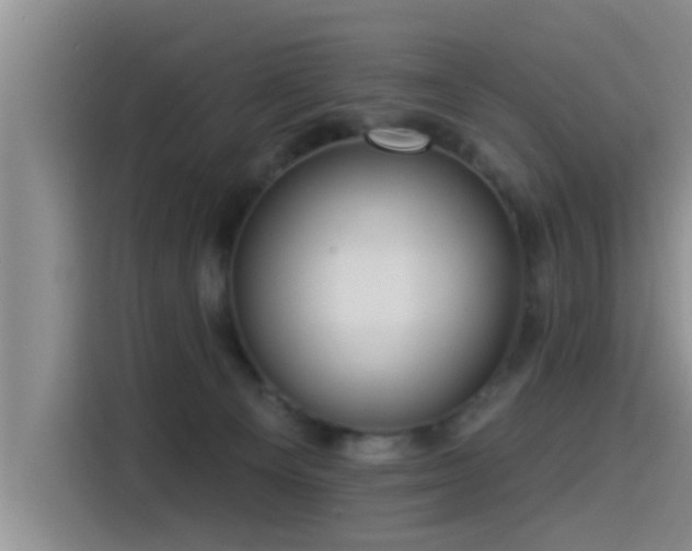 X0000115550129200911061541