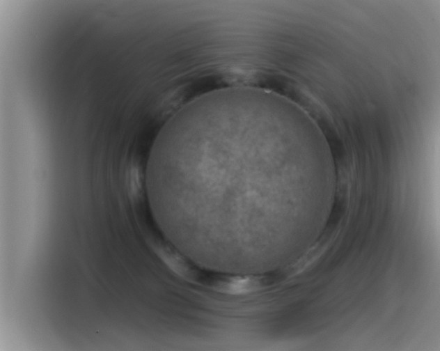 X0000115550130200911061541