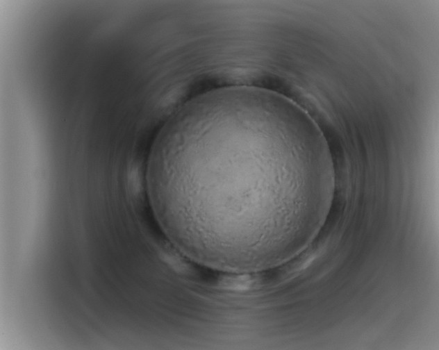 X0000115550131200911061541