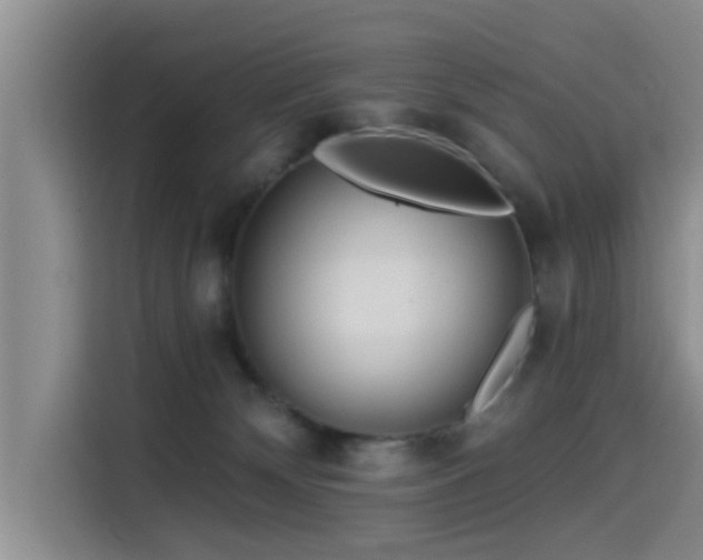 X0000115550132200911061541