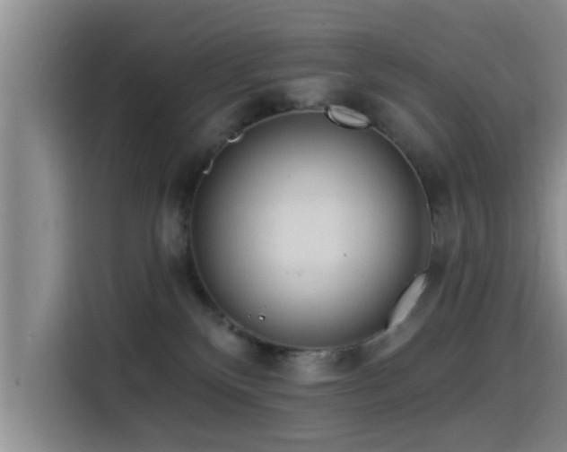 X0000115550136200911061540