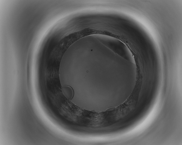 X0000115550143200911061540