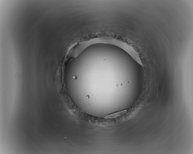 X0000115550144200911061540