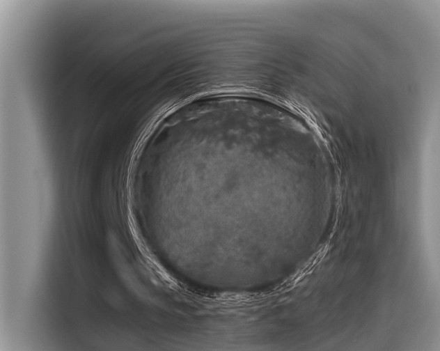 X0000115550145200911061540