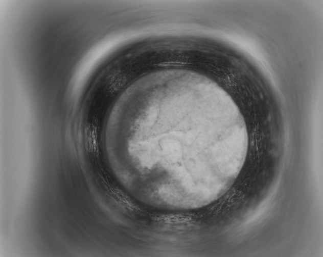 X0000115550146200911061540